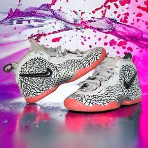 Rare Nike Air Foamposite Pro Elephant Print (GS)